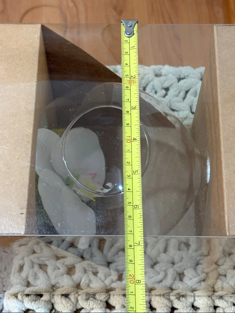 Clear Glass Orb Hanging Terrarium with White Flower Accent